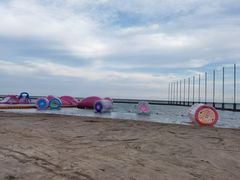 -碧海金沙