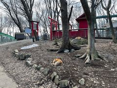 -宫城藏王狐狸村