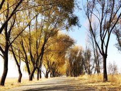 -野鸭湖国家湿地公园