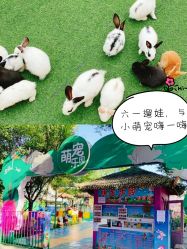 点击看大图 -萌宠亲子动物乐园(槐房万达店)