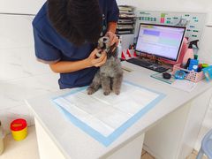 -萌兽医馆·宠物医院·猫骨科(创景店)