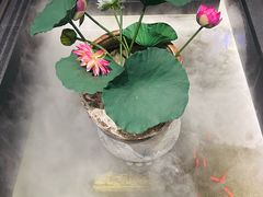 -单家老院·院子里的青岛菜(沙子口店)