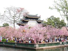 -宝墨园景区