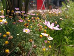 -闻酥园(水碾河路店)