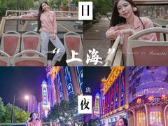 -BUS TOUR观光巴士