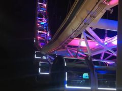 -新加坡摩天观景轮