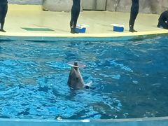 -福州罗源湾海洋世界旅游区