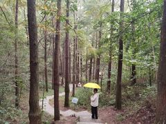 -波尔登森林公园