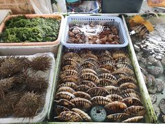 -大湾区中央湿地公园-十九涌