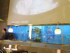 大堂-顺峰顺水顺德菜(龙华店)