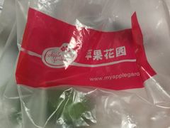 -苹果花园(枫林路店)
