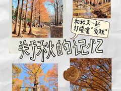 -白水寺森林公园