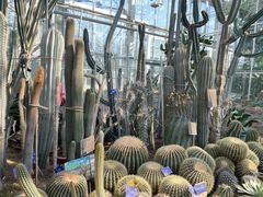 -国家植物园南园