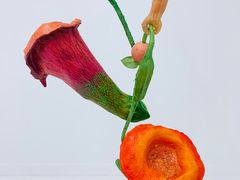 -胶囊画廊