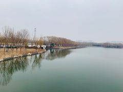 -大兴滨河森林公园