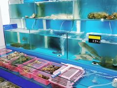 水产区-1910老鲁味海鲜·戳子肉·青岛菜(金沙滩店)
