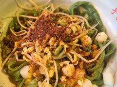 -手擀菠菜面(西康路店)