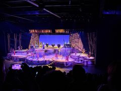 -巴黎迪士尼乐园