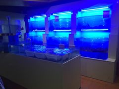 大堂-和院老火锅铜锅烧烤海鲜(朱雀大街店)