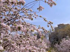 -元大都城垣遗址公园