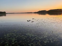 -丁香湖公园