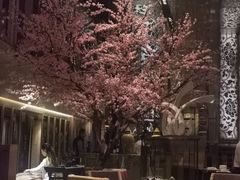 -金轩中餐厅 Jin Xuan(浦东丽思卡尔顿酒店)