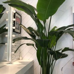 -美丽匯形象定制