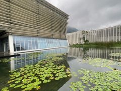 -中国宣纸文化园