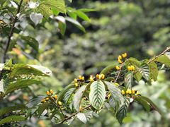-会稽山峡洞漂流-上青古道