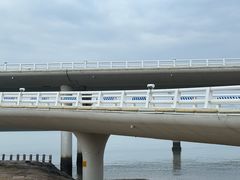 -演武大桥观景平台