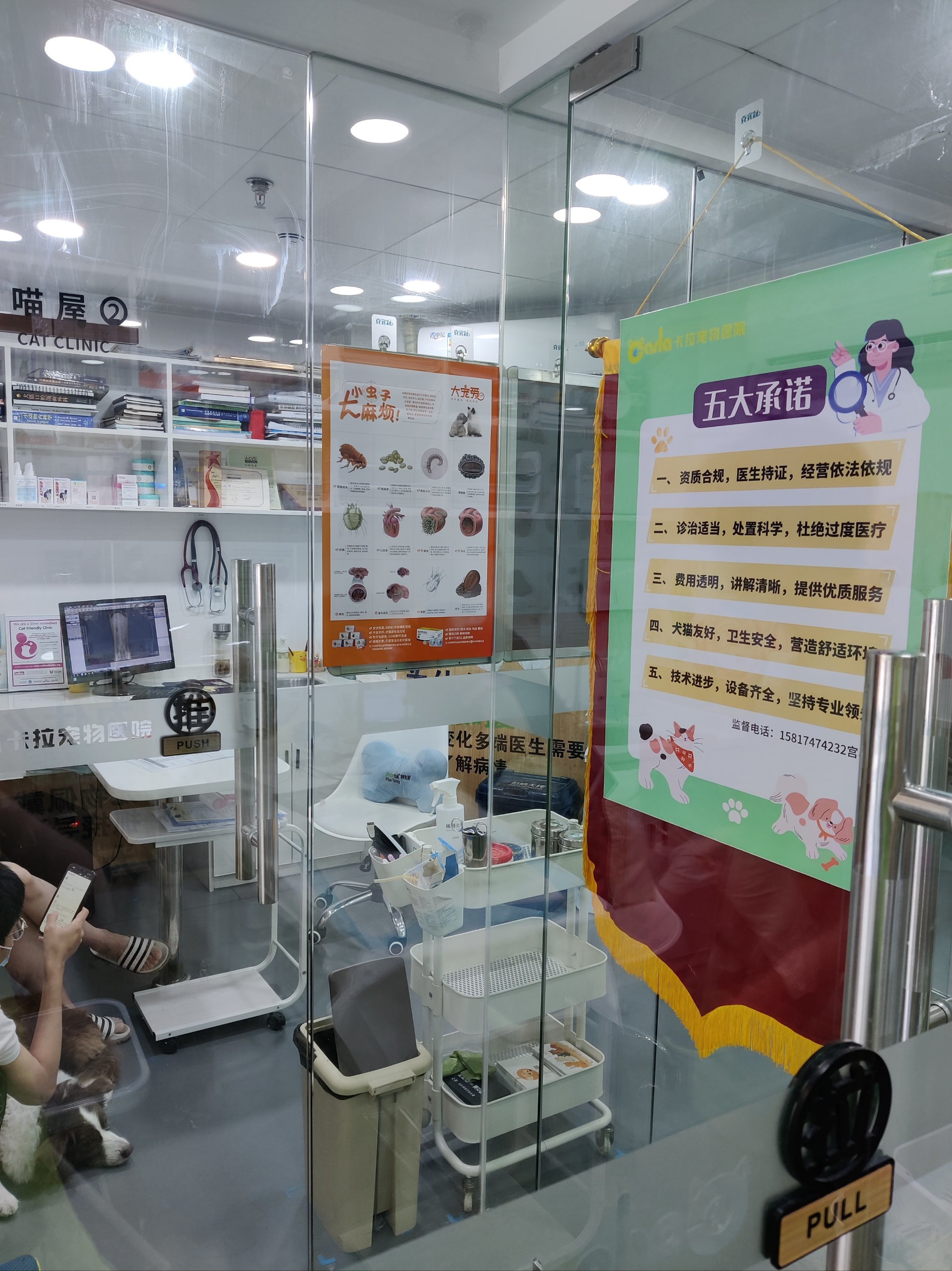 包含北京大学第六医院、顺义区贩子联系方式「找对人就有号」的词条