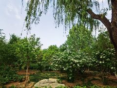 -燕郊植物园