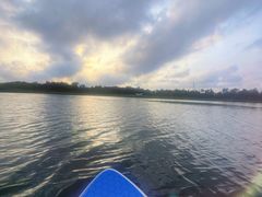 -春花秋色城市公园