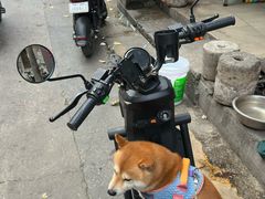 -宠物星动物医院·眼科·异宠·猫科(江南大道总院)