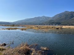 -腾冲北海湿地