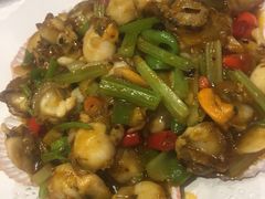 辣炒小扇贝-双井轩(双井店)
