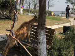 -上海滴水湖皇冠假日酒店