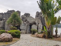 -海上田园