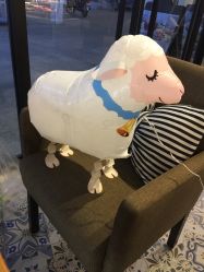 -波乐气球派对用品商店·生日布置·礼品集合店
