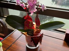 -惠州康帝国际酒店