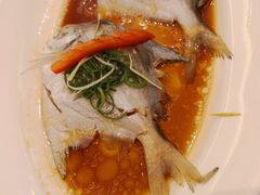 -宝燕壹号(徐汇店)