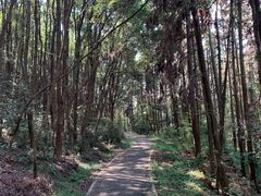 -青龙山国家森林公园