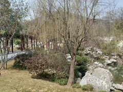 -采石矶景区