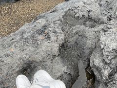 -黑石礁公园
