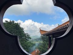 -深圳仙湖植物园