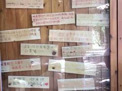 -胡里山炮台