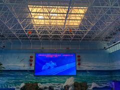 -多彩贵州城极地海洋世界