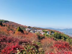 -四明山国家森林公园