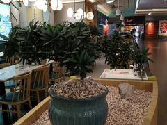 -苏晓玥·手作江南小吃(深圳北站店)