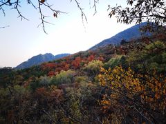 -阳台山自然风景区